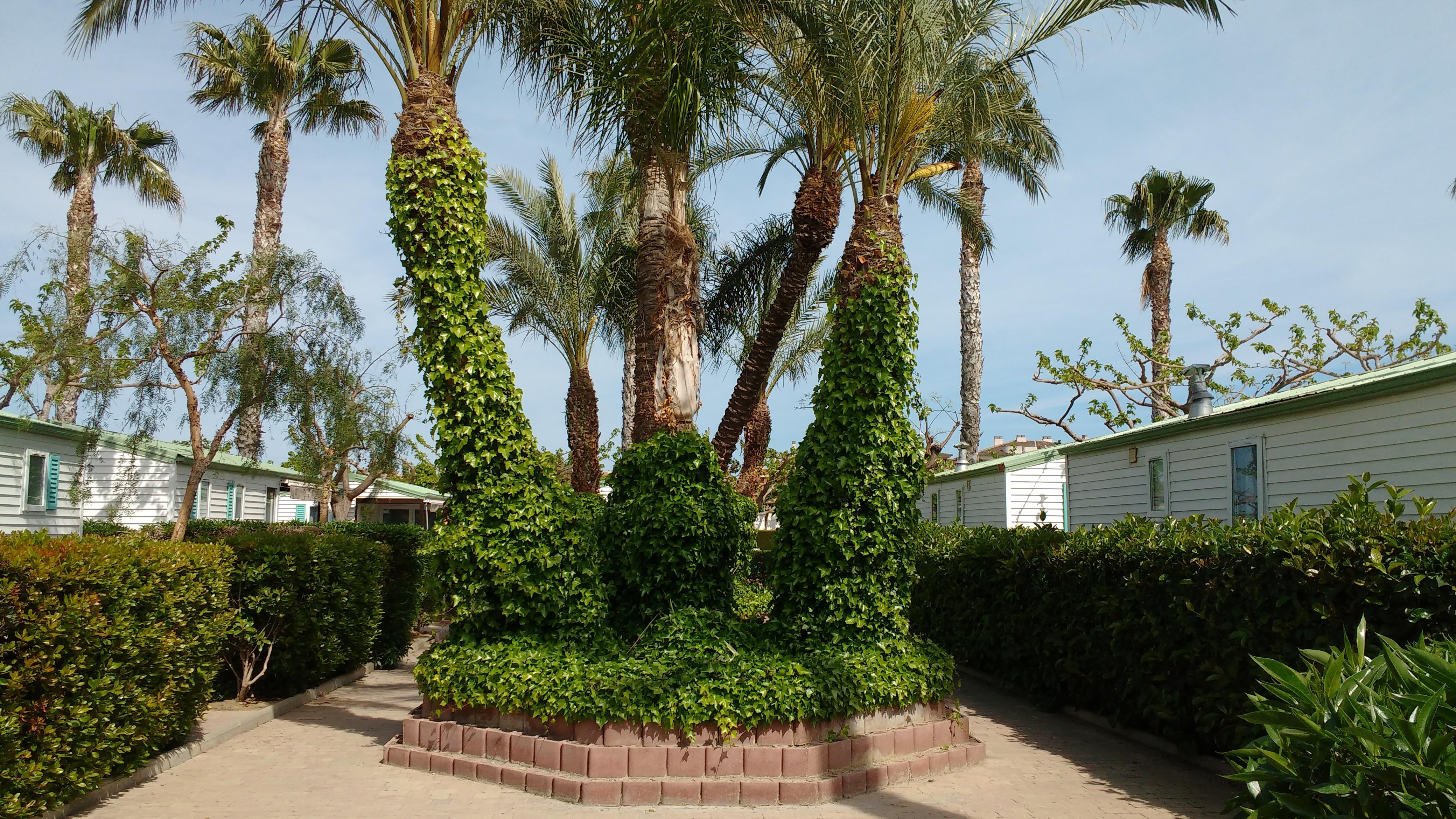 Camping Platja Cambrils Exterior photo