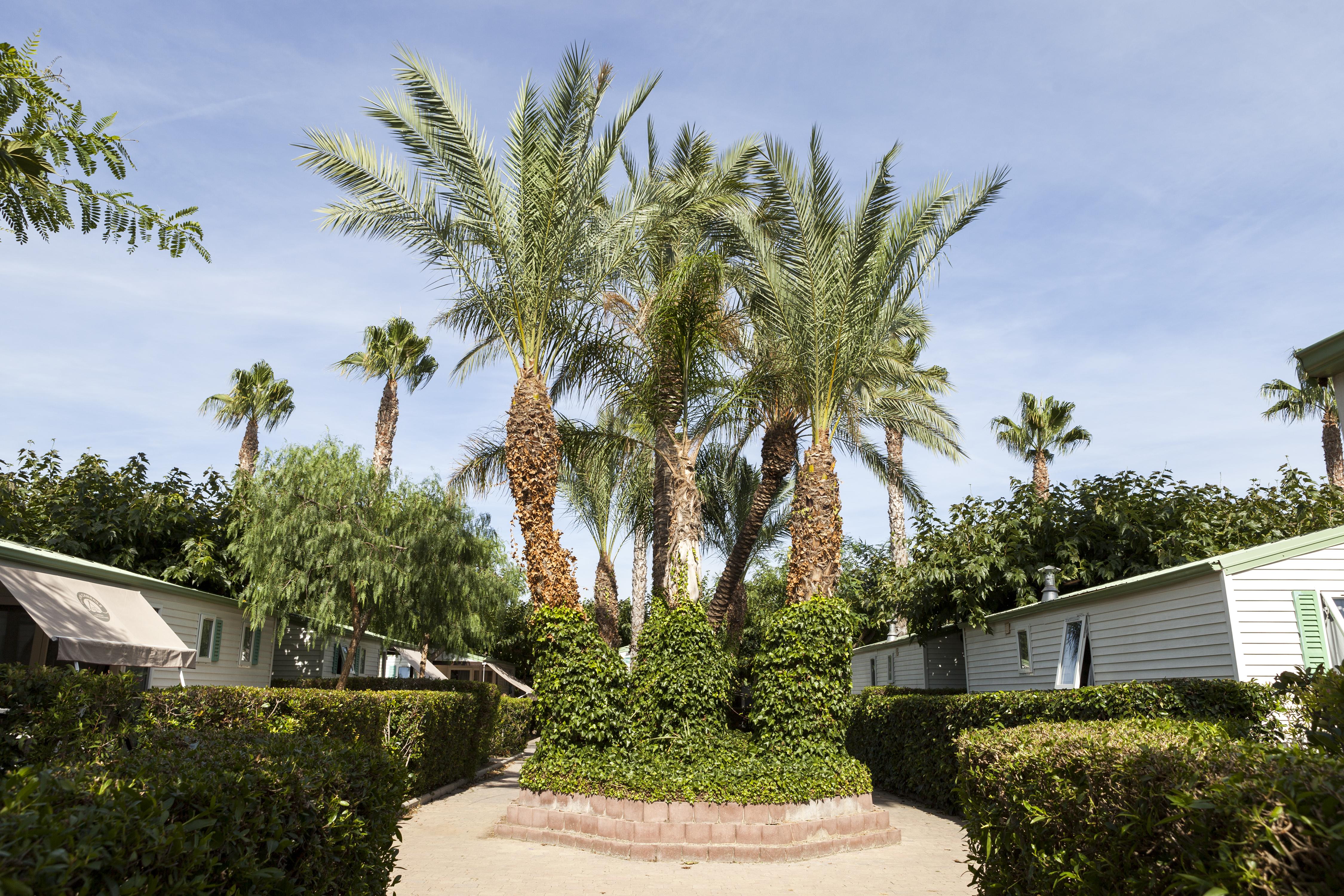 Camping Platja Cambrils Exterior photo