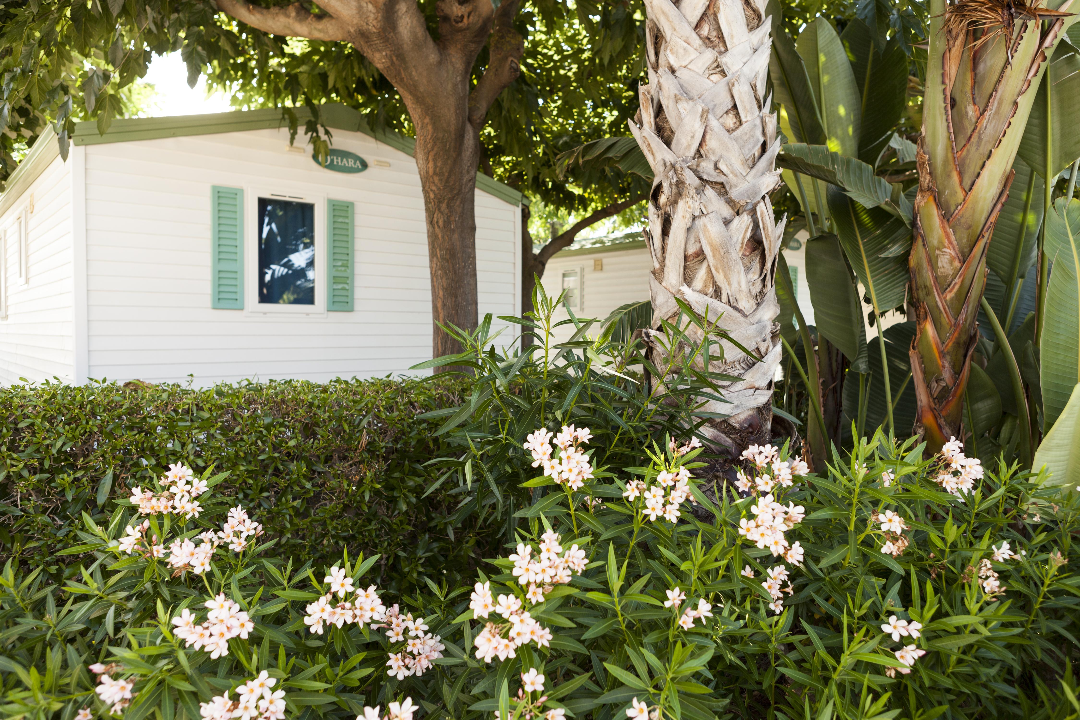 Camping Platja Cambrils Exterior photo